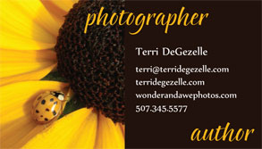 Terri DeGezelle
